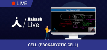 Cell prokaryotic